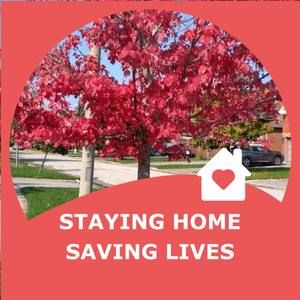 Meet your Posher, Rubina